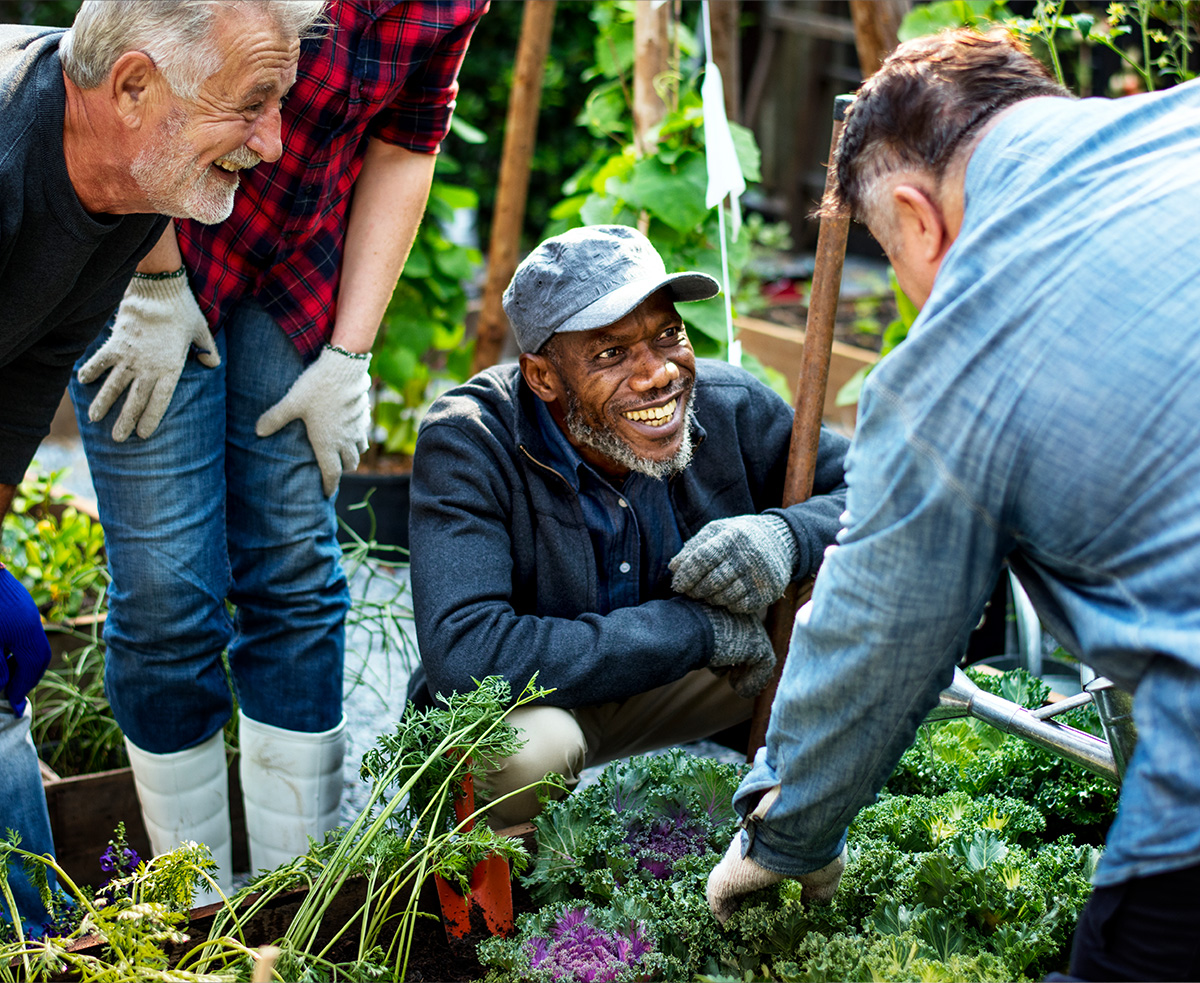 Community garden